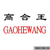 高合王  GA...