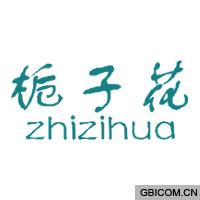 栀子花  ZH...