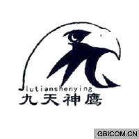 九天神鹰 JI...