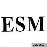   ESM