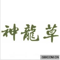 神龙草