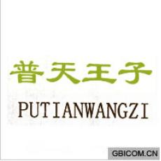 普天王子  P...