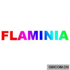 FLAMINI...