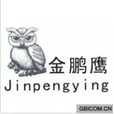 金鹏鹰
