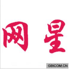 网星