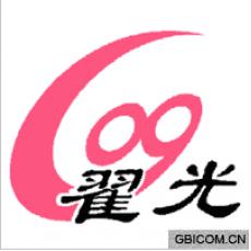 翟光 
