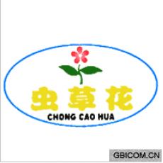 虫草花  CHONG CAO HUA