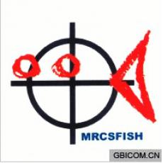 MRCSFIS...