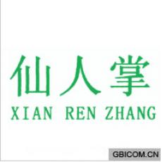 仙人掌  XIANRENZHANG