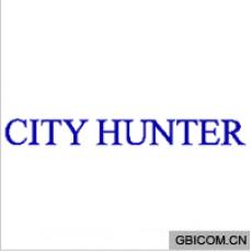 CITY HUNTER 
