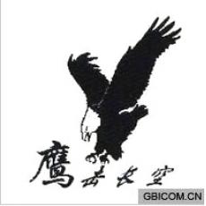鹰击长空 