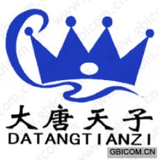 大唐天子;DATANGTIANZI