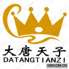大唐天子;DATANGTIANZI