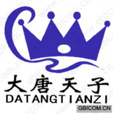 大唐天子;DA TANG TIAN ZI