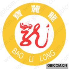 宝丽龙  BAOLILONG