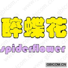 醉蝶花 SPIDERFLOWER