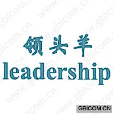 领头羊 LEADERSHIP