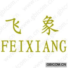 飞象