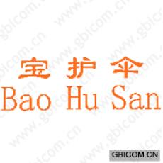 宝护伞 