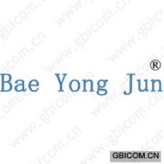 BAE YONG JUN 