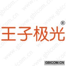 王子极光 