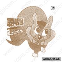 聪明鼠  CLEVERNESS 