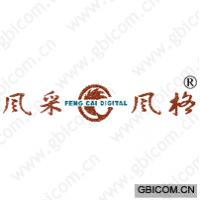 风采风格