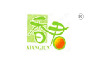 香君 XIANGJUN 香君 XIANGJUN