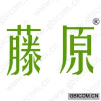 藤原