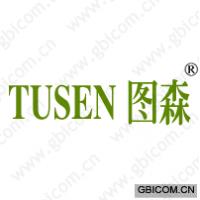 图森