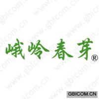 峨岭春芽