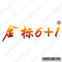 金标6+1