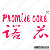 诺芯 PROMISE CORE