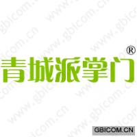 青城派掌门 