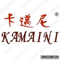 卡迈尼