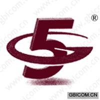 5G