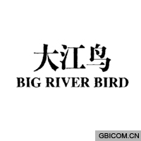 大江鸟  BI...