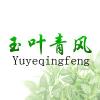 玉叶青风  YUYEQINGFENG